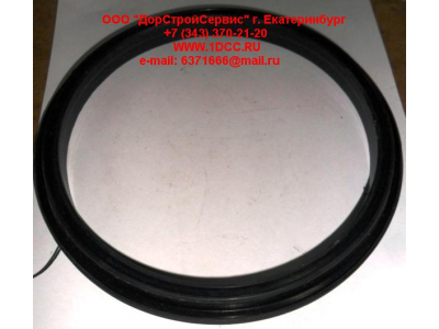 Сальник 165х195х16 балансира DF DONG FENG (ДОНГ ФЕНГ) 29ZB3-04084  для самосвала фото 1 Екатеринбург