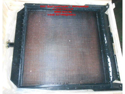 Радиатор охлаждения двигателя CDM 855EK Lonking CDM (СДМ) CDM855EK.01I.04 фото 1 Екатеринбург