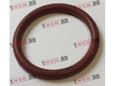 Кольцо уплотнительное штуцера форсунки резиновое F FAW (ФАВ)  для самосвала фото 1 Екатеринбург