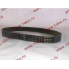 Ремень 8PK790 генератора CDM 855 Lonking CDM (СДМ) 612600090201 фото 2 Екатеринбург