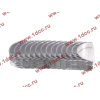 Вкладыши коренные стандарт +0.00 (14шт) LONGGONG CDM833 Lonking CDM (СДМ) 13034908/13034916 фото 2 Екатеринбург